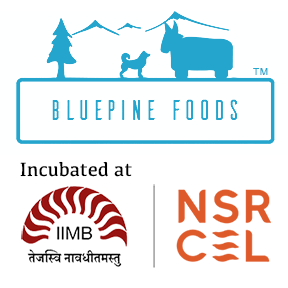 BluePine Foods | NSRCEL Logo